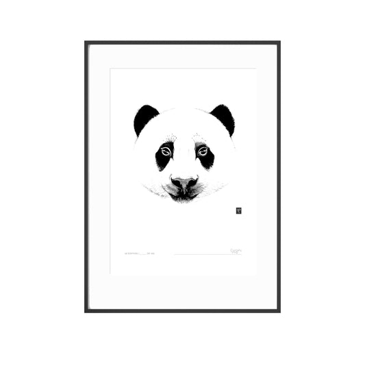 Curious Creatures Series - A Panda Named Sue - Limited Edition Print