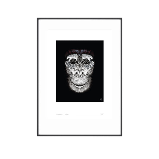 Curious Creatures Series - Chimp Champ - Limited Edition Print