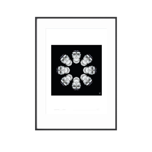 Curious Creatures Series - Chimp Daisy - Limited Edition Print