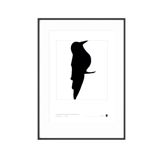 Abstract Bird Series - Woodpecker Smile - Limited Edition Print
